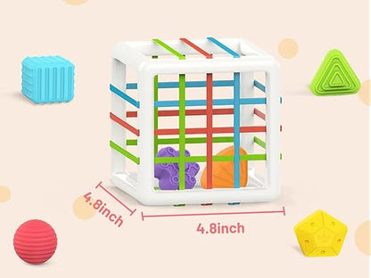 MINGKIDS Montessori Toys for 1 Year Old – 6 Pc Multi-Sensory Shape Sorter Set | Developmental Learning Toys & Birthday Gifts for Toddlers 12 Months+ nirvanaguru