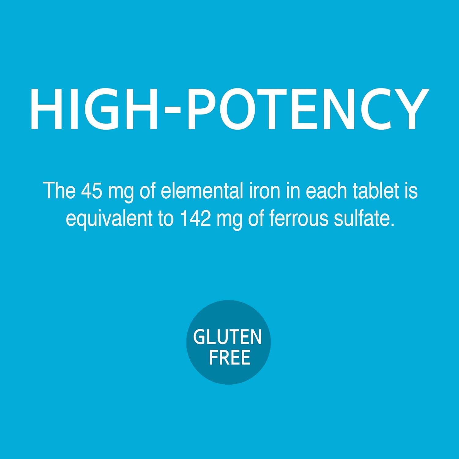 21st Century Slow Release Iron Tablets, 60 Count Nirvana Guru