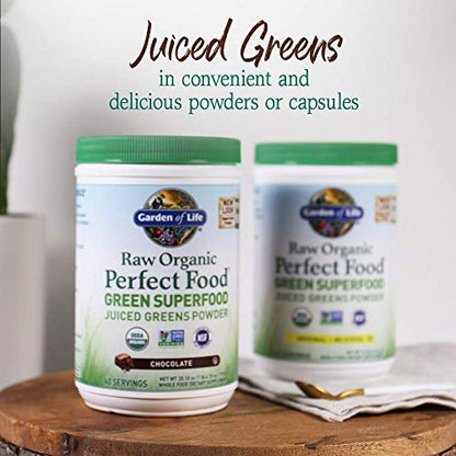 Garden of Life Raw Organic Perfect Food Green Superfood Juiced Greens Powder - Chocolate, 30 Servings (Packaging May Vary) - Nirvana Guru