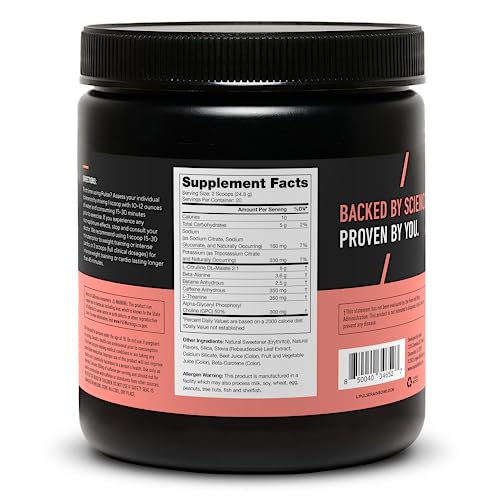 LEGION Pulse Pre Workout Supplement - All Natural Nitric Oxide Preworkout Drink to Boost Energy, Creatine Free, Naturally Sweetened, Beta Alanine, Citrulline, Alpha GPC (Fruit Punch) Nirvana Guru