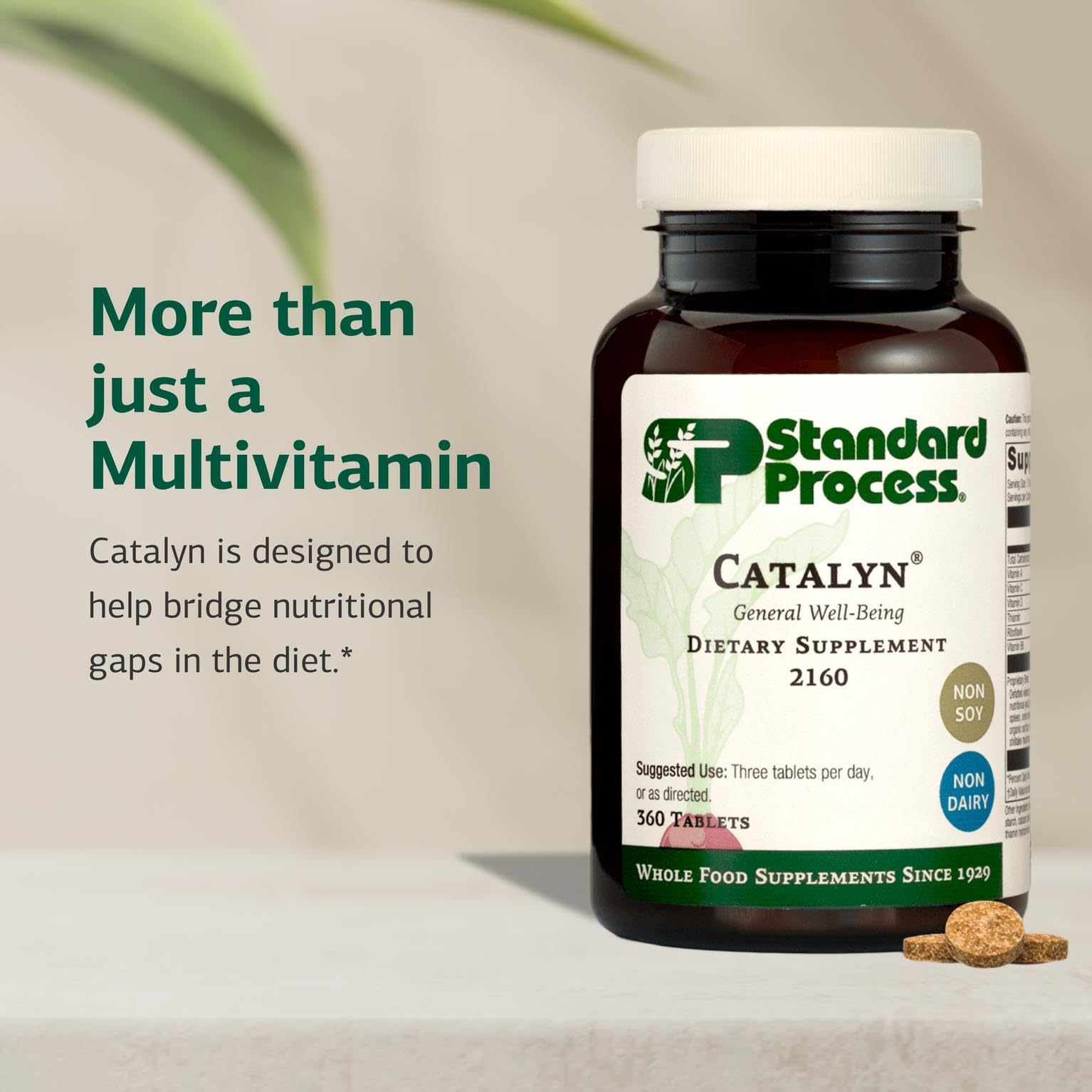 Standard Process Catalyn - Whole-Food Based Foundational Support for General Wellbeing with Vitamins D, C, A & B6, Thiamine, Riboflavin, Magnesium Citrate & More - 90 Tablets Nirvana Guru
