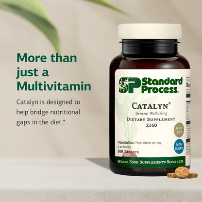 Standard Process Catalyn - Whole-Food Based Foundational Support for General Wellbeing with Vitamins D, C, A & B6, Thiamine, Riboflavin, Magnesium Citrate & More - 90 Tablets Nirvana Guru