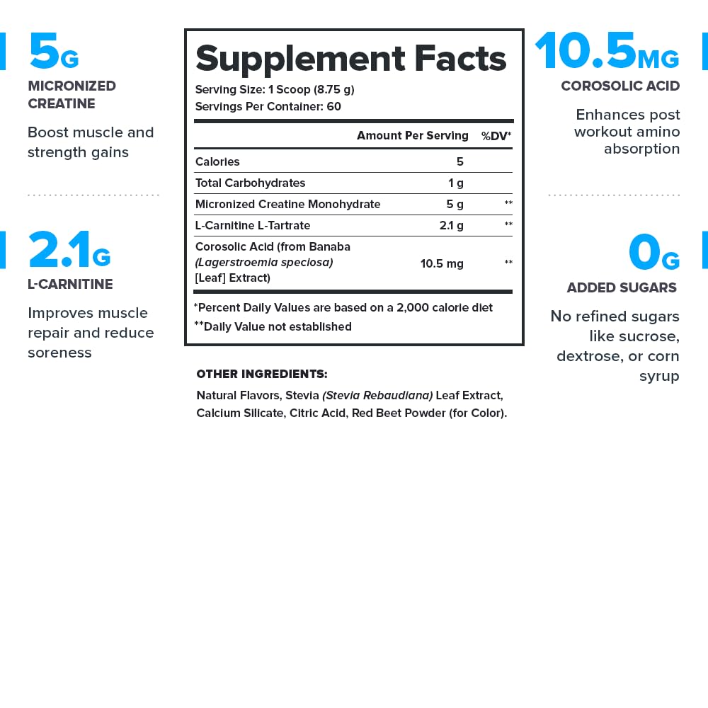 LEGION Recharge Post Workout Drink - Micronized Creatine Monohydrate Natural Post Workout Recovery Drink - Muscle Builder & Recovery Booster Post Workout Supplements (Strawberry Lemonade, 30 Servings) Nirvana Guru