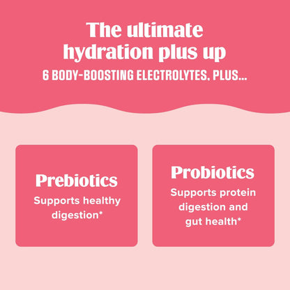 Ultima Replenisher Gut Health Supplement and Electrolytes Powder - Raspberry Lemonade, 14 Stickpacks - Hydration Packets with Added Gut Health Benefits - Nirvana Guru