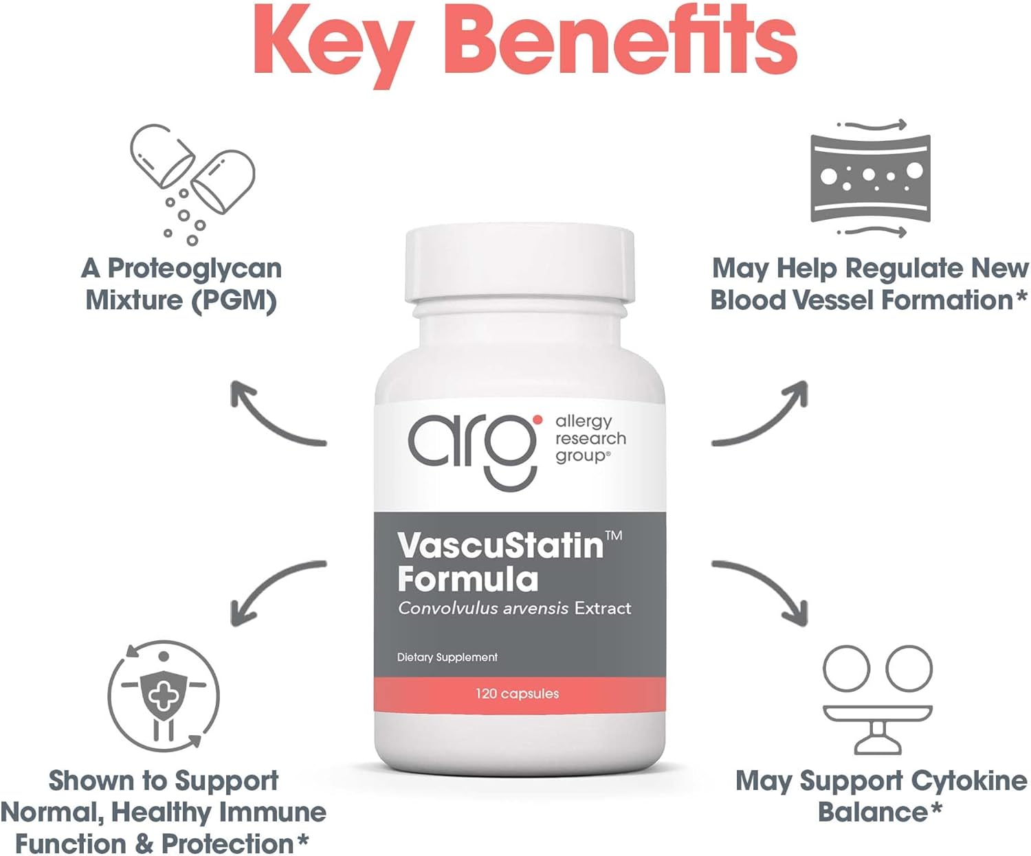Allergy Research Group VascuStatin Formula Dietary Supplement - Convolvulus arvensis Extract, Healthy Vascularization Function, Phagocytic Activity, Lymphocyte Production - 120 Count Nirvana Guru