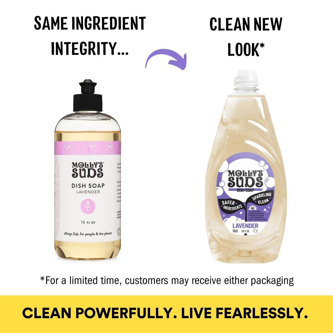 Molly's Suds Liquid Dish Soap | Clean, Simple Ingredients | Extra Scrubbing Power | Citrus Scent, 24 oz - 2 Pack Nirvana Guru