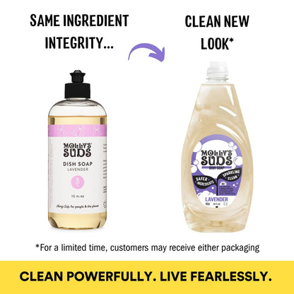 Molly's Suds Liquid Dish Soap | Clean, Simple Ingredients | Extra Scrubbing Power | Citrus Scent, 24 oz - 2 Pack Nirvana Guru