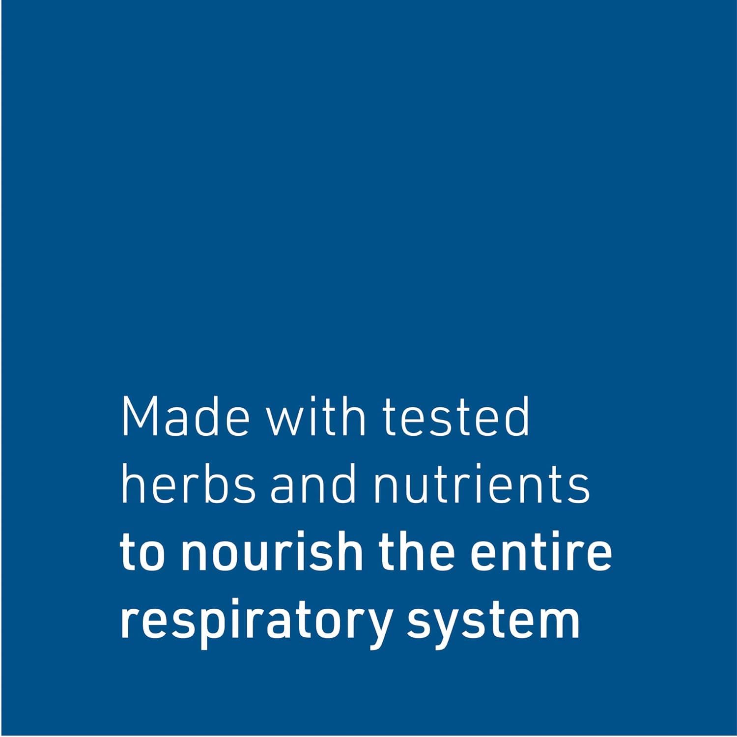Natural Factors Lung, Bronchial & Sinus Health, Natural Supplement for Respiratory Health and Easy Breathing, 90 Tablets - Nirvana Guru