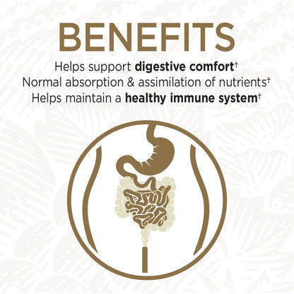 Garden of Life Primal Defense Ultra Ultimate Probiotic Formula - 15 Billion CFU and 13 Strains of Probiotics Plus HSOs for Healthy Digestive Balance, Vegetarian and Gluten Free, 90 Capsules - Nirvana Guru