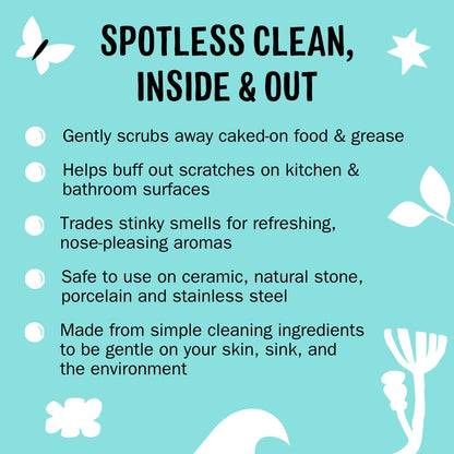 Molly's Suds Sink and All Purpose SCRUB | Gently Removes Stains, Scrubs Away Grease & Gime, Buffs out Scratches | Plant and Mineral Based | 2 Pack, Beach Scent Nirvana Guru