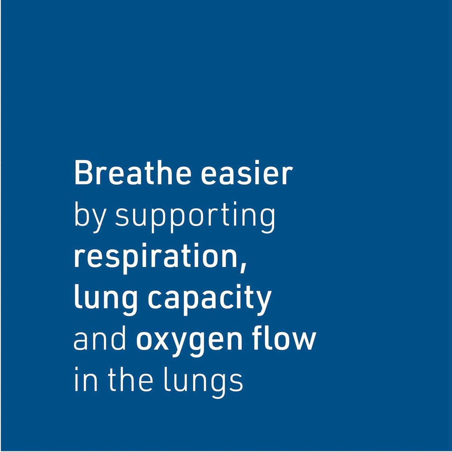 Natural Factors Lung, Bronchial & Sinus Health, Natural Supplement for Respiratory Health and Easy Breathing, 90 Tablets - Nirvana Guru