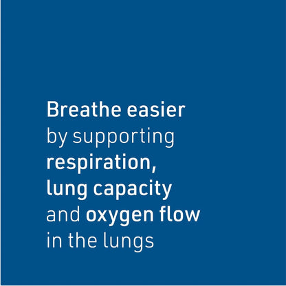 Natural Factors Lung, Bronchial & Sinus Health, Natural Supplement for Respiratory Health and Easy Breathing, 90 Tablets - Nirvana Guru