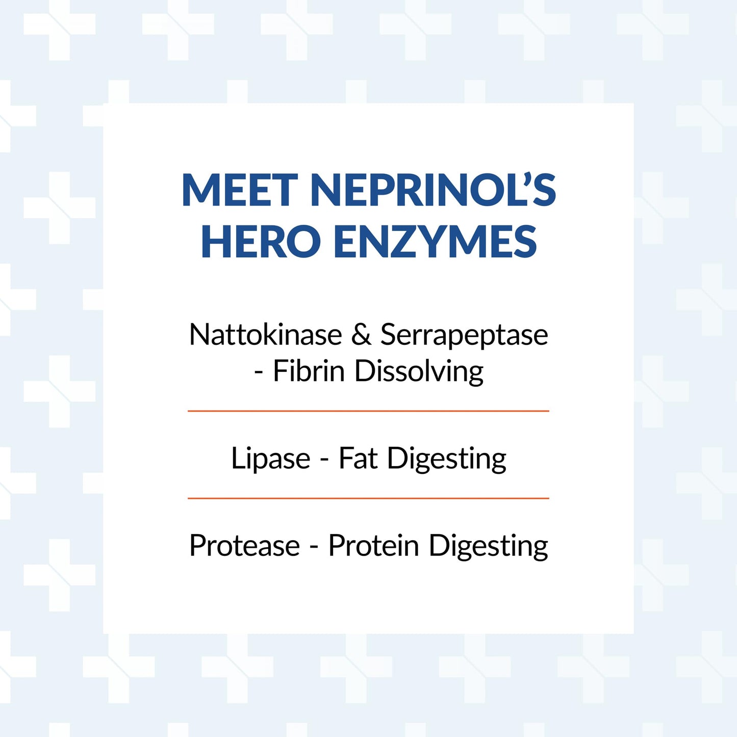 Arthur Andrew Medical, Neprinol AFD, Multi Enzyme Blend with Serrapeptase & Nattokinase, 300 Count (Pack of 1) Nirvana Guru