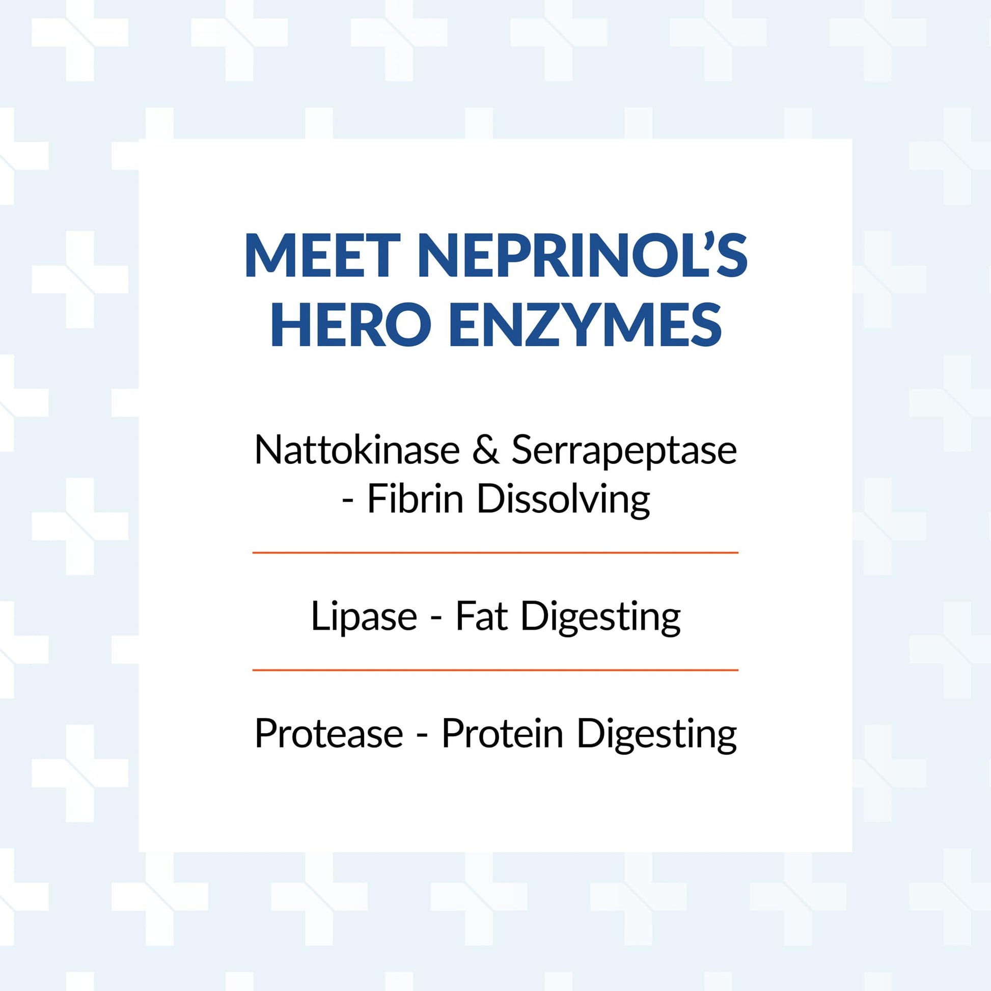 Arthur Andrew Medical, Neprinol AFD, Multi Enzyme Blend with Serrapeptase & Nattokinase, 300 Count (Pack of 1) Nirvana Guru