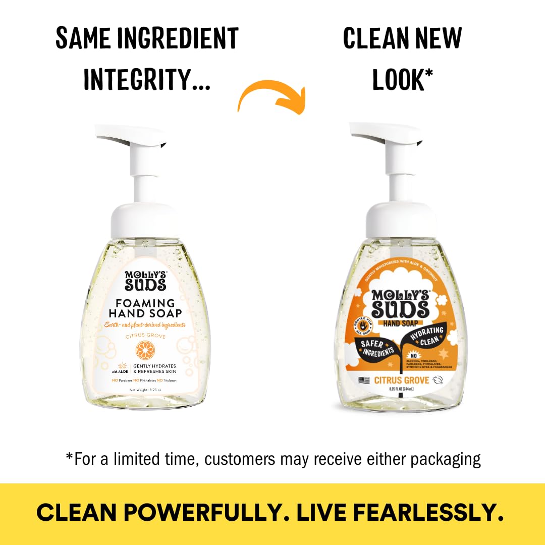 Molly's Suds Foaming Hand Soap - Made with Aloe and Coconut Oil | Moisturizing Hand Wash | Clean Ingredients, Infused with Essential Oils | Citrus Grove - 8.25 Oz (Pack of 3) Nirvana Guru
