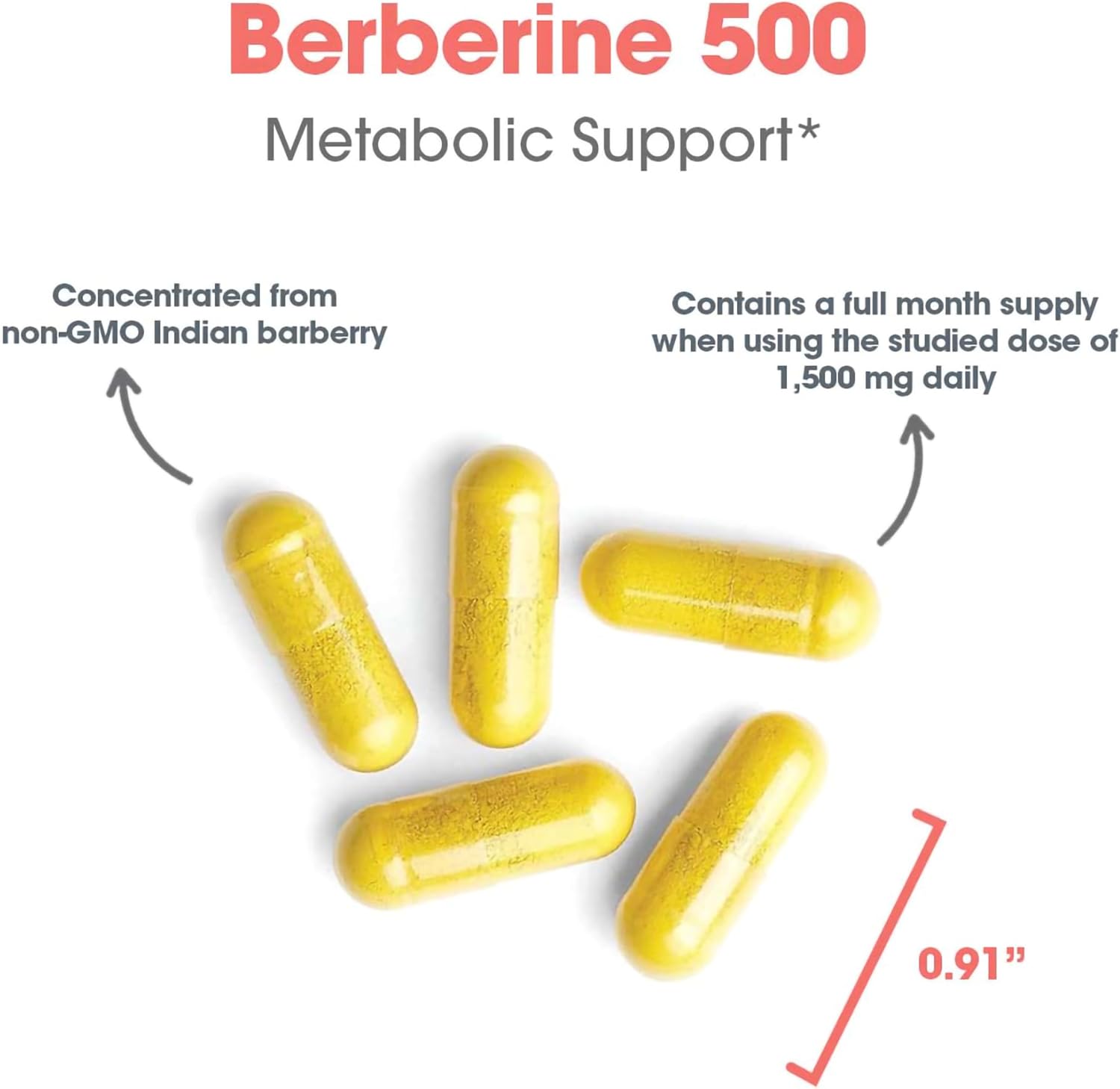 Allergy Research Group Berberine 500mg Supplement - Multi-Faceted Metabolic Support, Supports Healthy Cholesterol, Indian Barberry Root, Hypoallergenic, Vegetarian Capsules - 90 Count Nirvana Guru