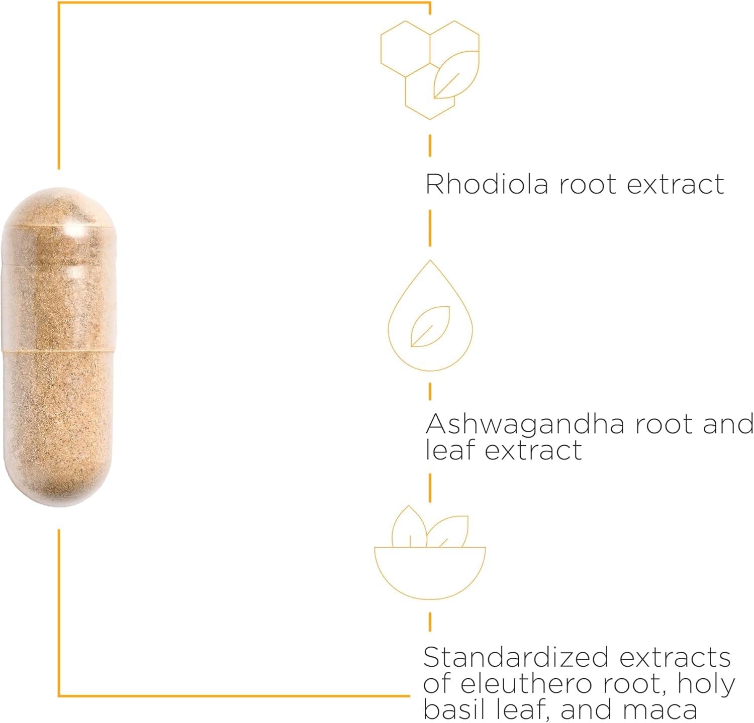 Integrative Therapeutics HPA Adapt - Supports a Healthy Stress Response* - Positive Outlook Supplement with Ashwagandha, Maca, Holy Basil & Rhodiola - Gluten-Free & Soy-Free - 120 Vegan Capsules - Nirvana Guru
