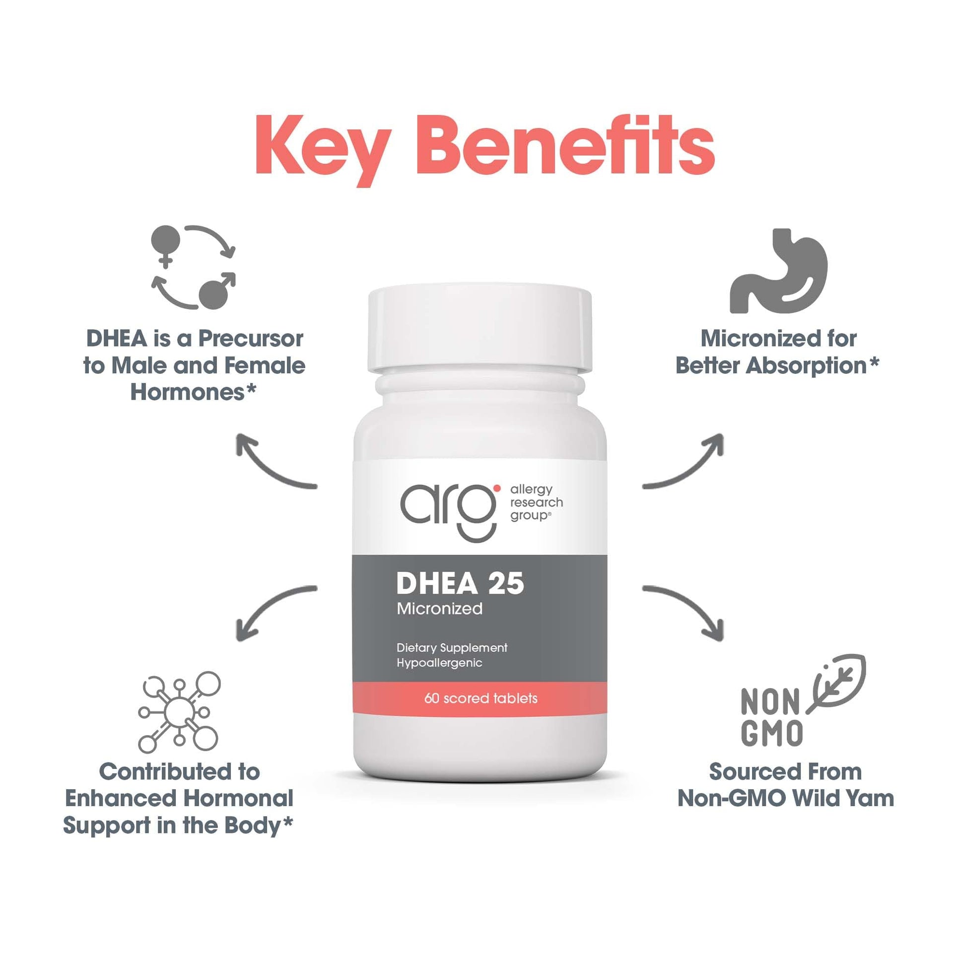 Allergy Research Group DHEA 25mg Supplement - Hormone Support for Men & Women, Micronized Lipid Matrix, Hypoallergenic, Soy-Free, Scored Tablets - 60 Count Nirvana Guru