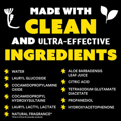 Molly's Suds Liquid Dish Soap | Clean, Simple Ingredients | Extra Scrubbing Power | Citrus Scent, 24 oz - 2 Pack Nirvana Guru