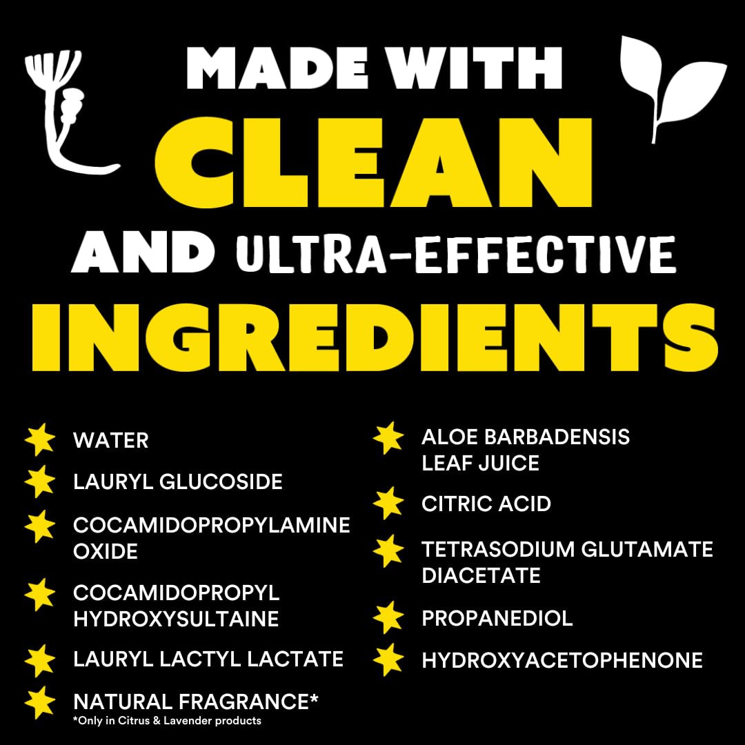Molly's Suds Liquid Dish Soap | Clean, Simple Ingredients | Extra Scrubbing Power | Citrus Scent, 24 oz - 2 Pack Nirvana Guru