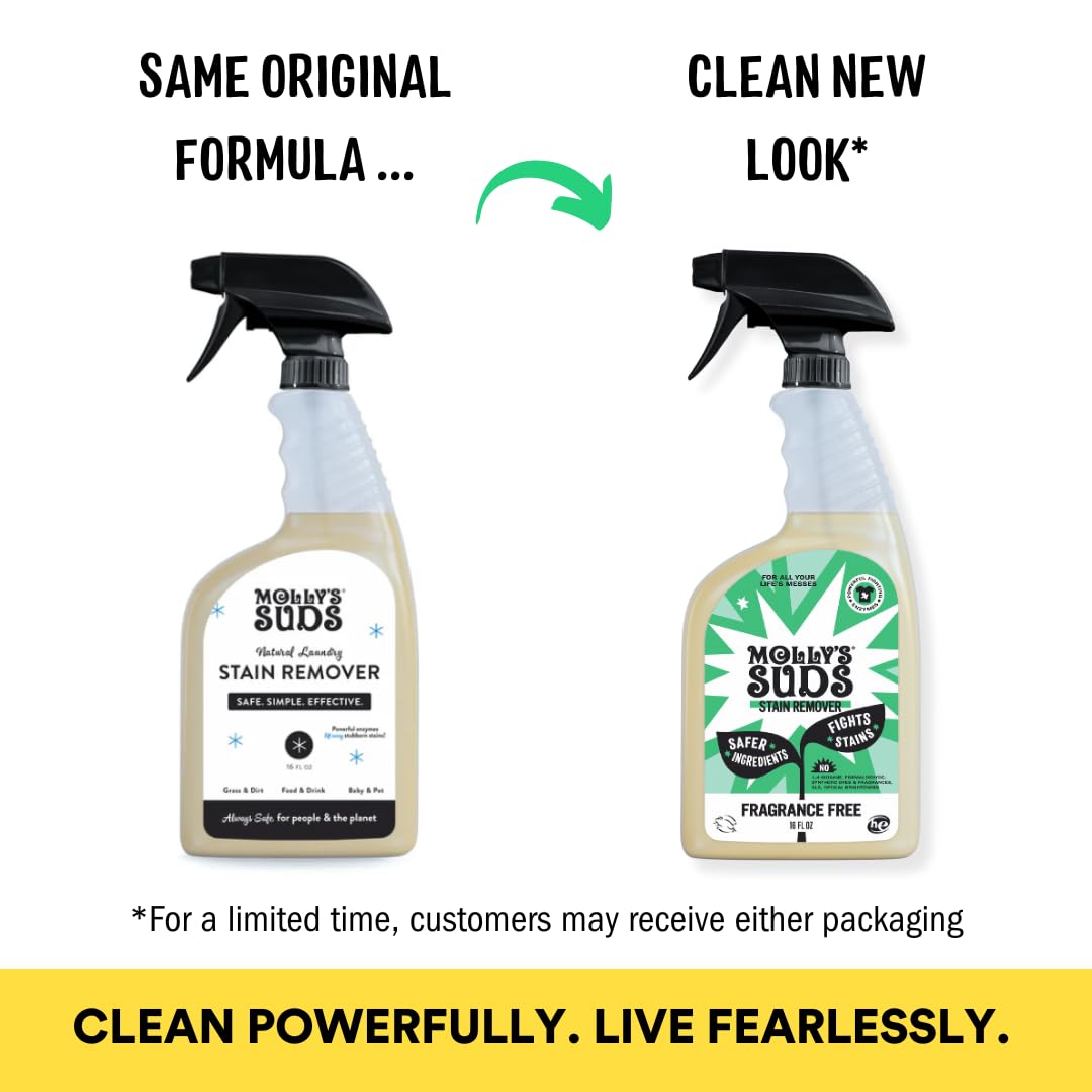 Molly's Suds Stain Remover Spray | Gentle Yet Powerful, Great for Baby & Pet Stains | Clean, Simple Ingredients (Fragrance Free) (16 Fl Oz (Pack of 2)) Nirvana Guru