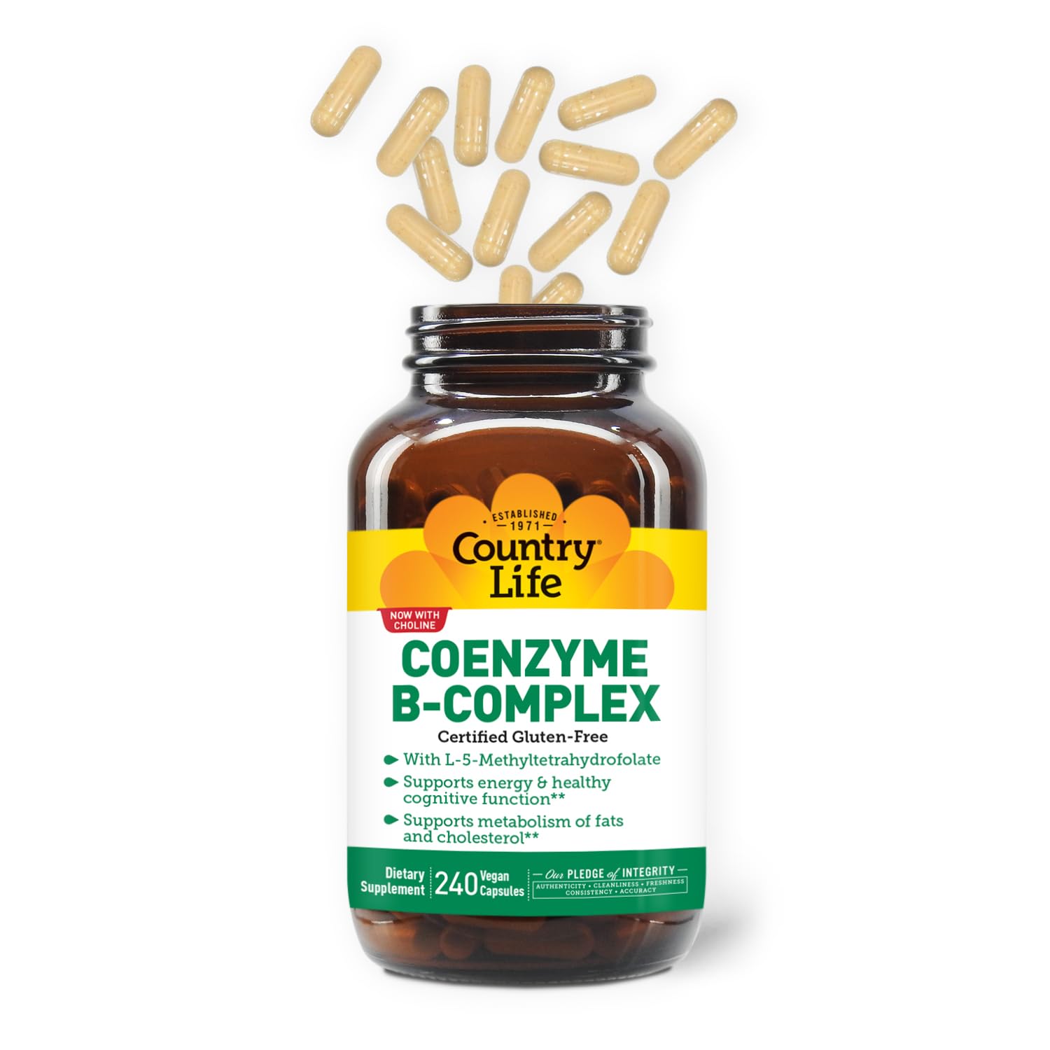 Country Life Coenzyme B-Complex, 120 Capsules – Supports Energy & Metabolism, Mood & Cognitive Function – Vegan, Gluten-Free, Bioavailable B Vitamins with Choline Nirvana Guru