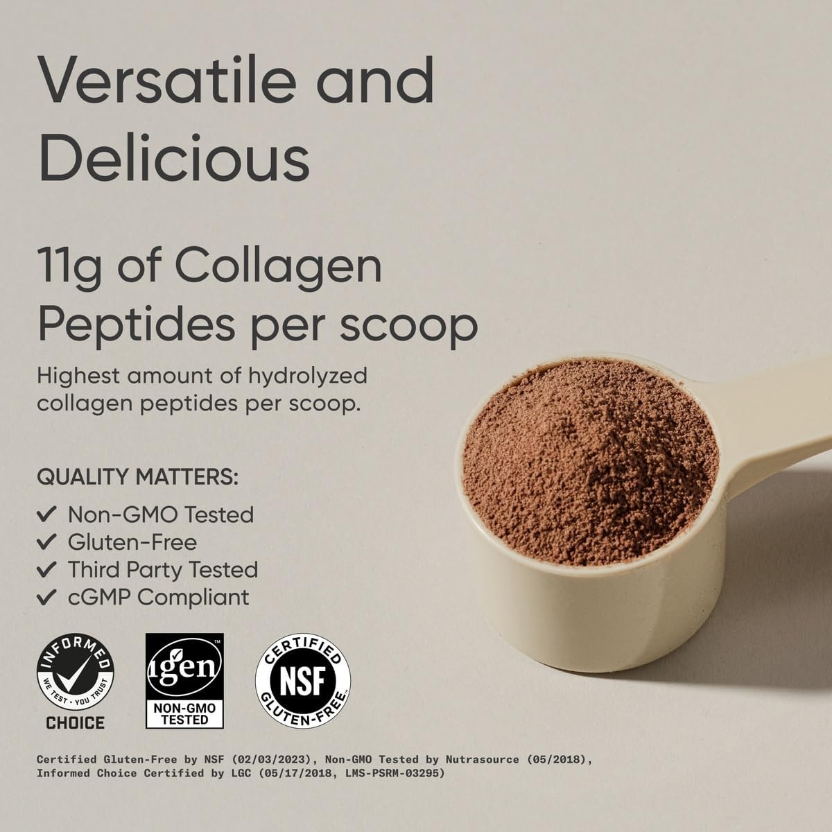 Sports Research Collagen Peptides Dark Chocolate - Nirvana Guru