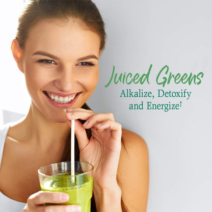 Garden of Life Raw Organic Perfect Food Green Superfood Juiced Greens Powder - Chocolate, 30 Servings (Packaging May Vary) - Nirvana Guru