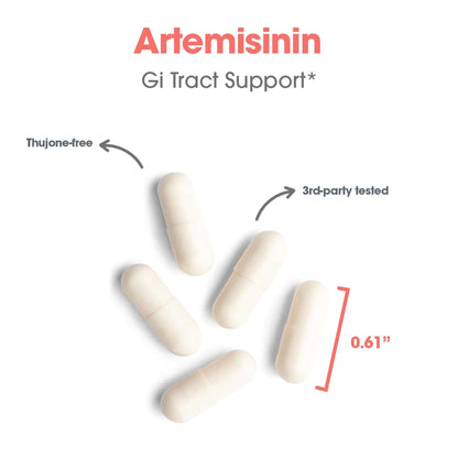 Allergy Research Group Artemisinin Supplement - Pure Sweet Wormwood Extract Artemisinin Capsules for Adults, Natural Immune Support with 200 mg, Digestive Health Support - 90 Vegetarian Capsules Nirvana Guru