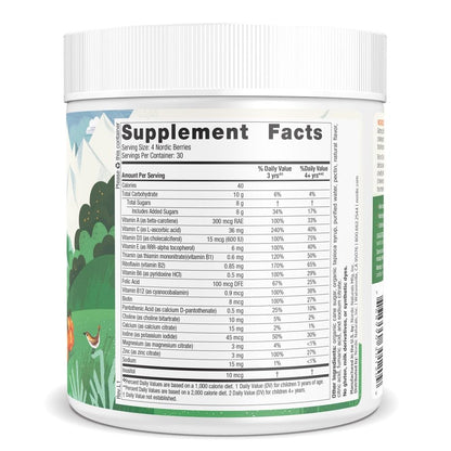 Nordic Naturals Nordic Berries, Citrus - 200 Gummy Berries - Great-Tasting Multivitamin for Ages 2+ - Growth, Development, Optimal Wellness - Non-GMO, Vegetarian - 50 Servings - Nirvana Guru