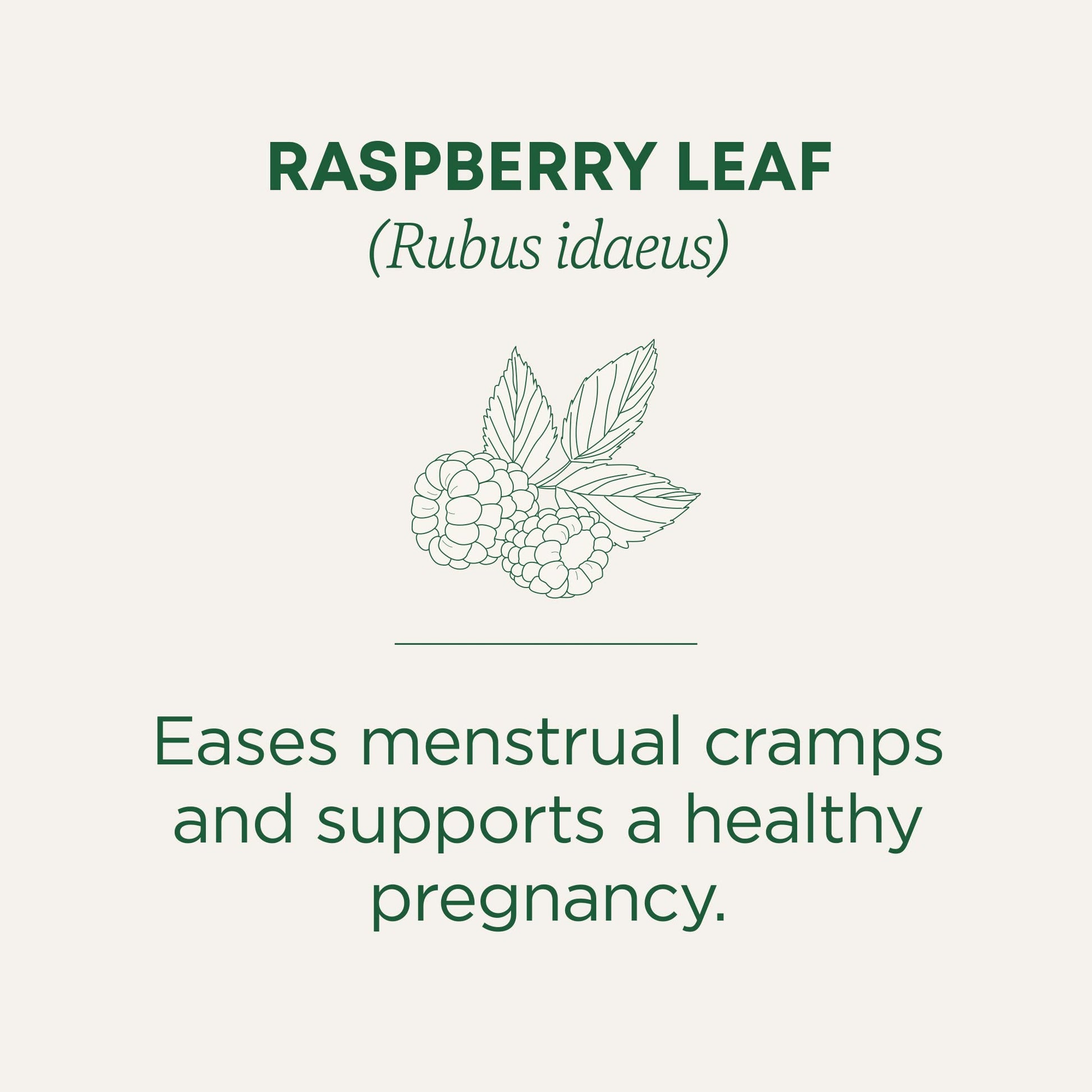 Traditional Medicinals Tea, Organic Healthy Cycle, Supports Healthy Menstrual Cycles, Includes Spearmint,16 Tea Bags - Nirvana Guru