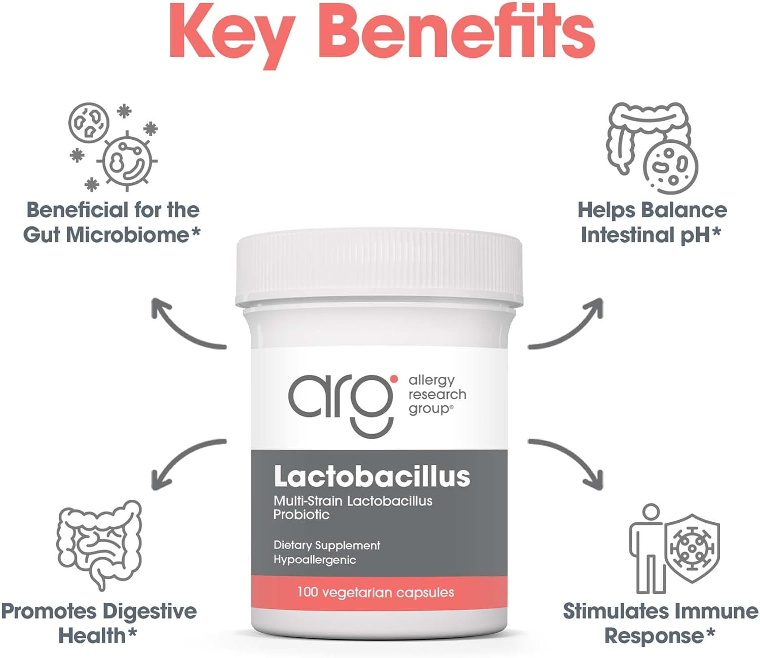 Allergy Research Group Lactobacillus Supplement - Probiotics for Men & Women, Digestive Health, Gut Health, Vegetarian Capsules - 100 Count Nirvana Guru