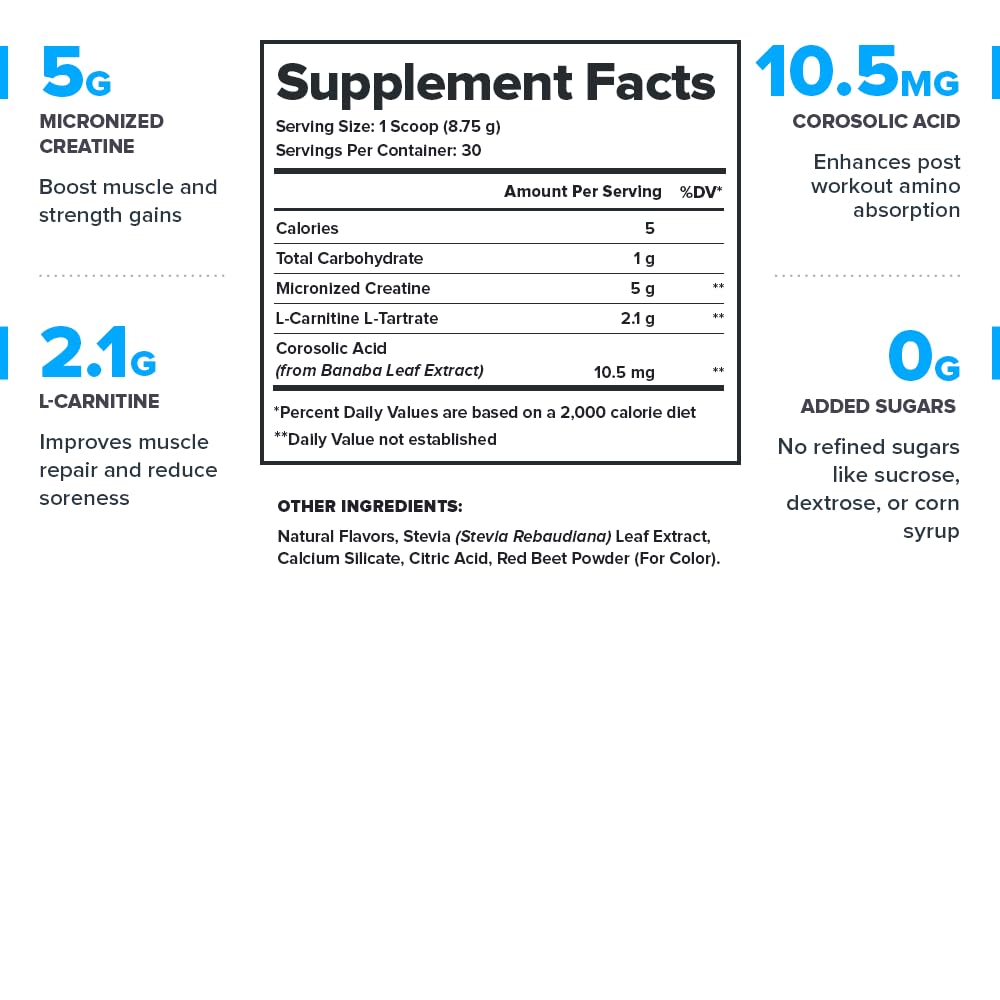 LEGION Recharge Post Workout Drink - Micronized Creatine Monohydrate Natural Post Workout Recovery Drink - Muscle Builder & Recovery Booster Post Workout Supplements (Strawberry Lemonade, 30 Servings) Nirvana Guru
