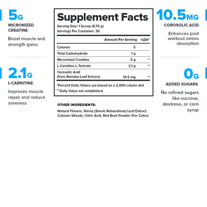 LEGION Recharge Post Workout Drink - Micronized Creatine Monohydrate Natural Post Workout Recovery Drink - Muscle Builder & Recovery Booster Post Workout Supplements (Strawberry Lemonade, 30 Servings) Nirvana Guru