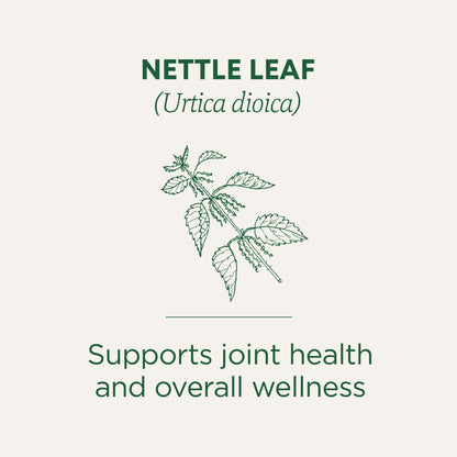 Traditional Medicinals Organic Nettle Leaf Herbal Tea, Supports Joint Health & Overall Wellness, (Pack of 1) - 16 Tea Bags - Nirvana Guru