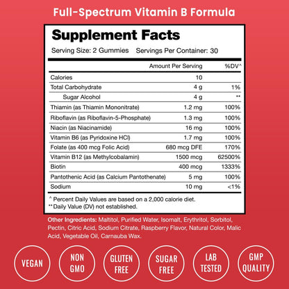 USDA Organic Vitamin B Complex Liquid Drops | B Vitamins Complex Supplement with B1, B2, B3, B6, B7, B9 & Methyl B12 Drops for Adults & Kids | Vegan Berry Flavor 2oz | 60 Servings / 2 Month Supply Nirvana Guru