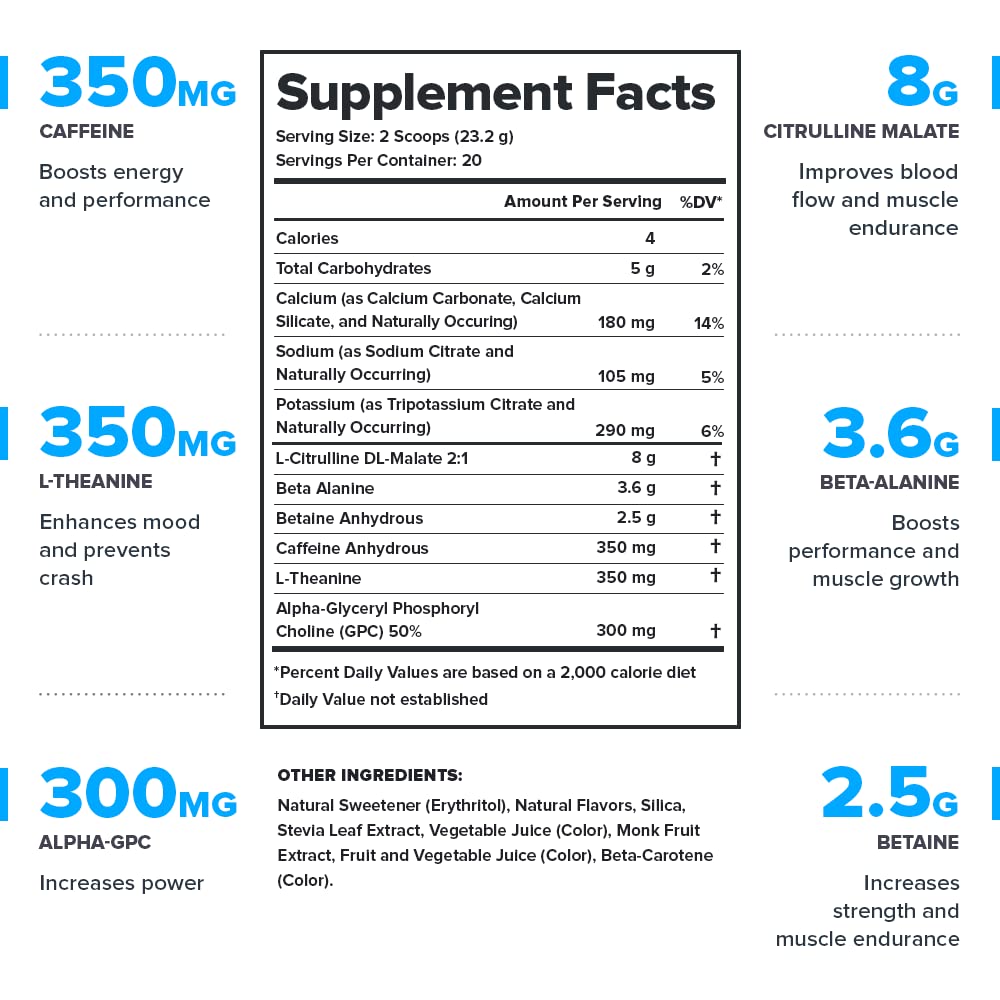 LEGION Pulse Pre Workout Supplement - All Natural Nitric Oxide Preworkout Drink to Boost Energy, Creatine Free, Naturally Sweetened, Beta Alanine, Citrulline, Alpha GPC (Fruit Punch) Nirvana Guru