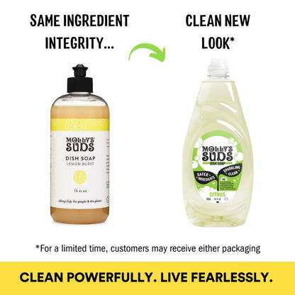 Molly's Suds Liquid Dish Soap | Clean, Simple Ingredients | Extra Scrubbing Power | Citrus Scent, 24 oz - 2 Pack Nirvana Guru