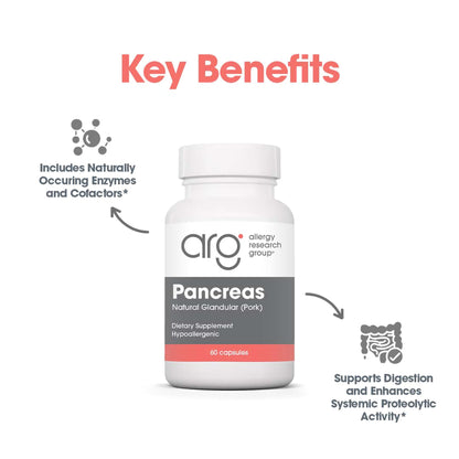 Allergy Research Group Pancreas Supplement - Pancreatic Enzymes for Women and Men, Digestive Pork Pancreas Powder Capsules, Healthy Digestion Support - 720 Capsules Nirvana Guru