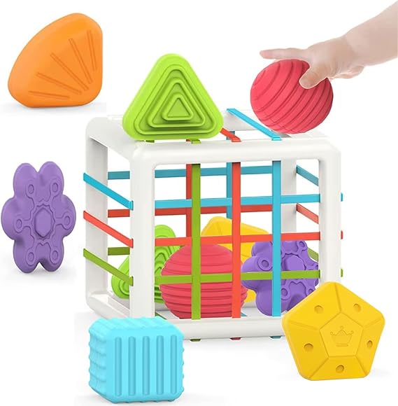 MINGKIDS Montessori Toys for 1 Year Old – 6 Pc Multi-Sensory Shape Sorter Set | Developmental Learning Toys & Birthday Gifts for Toddlers 12 Months+ nirvanaguru