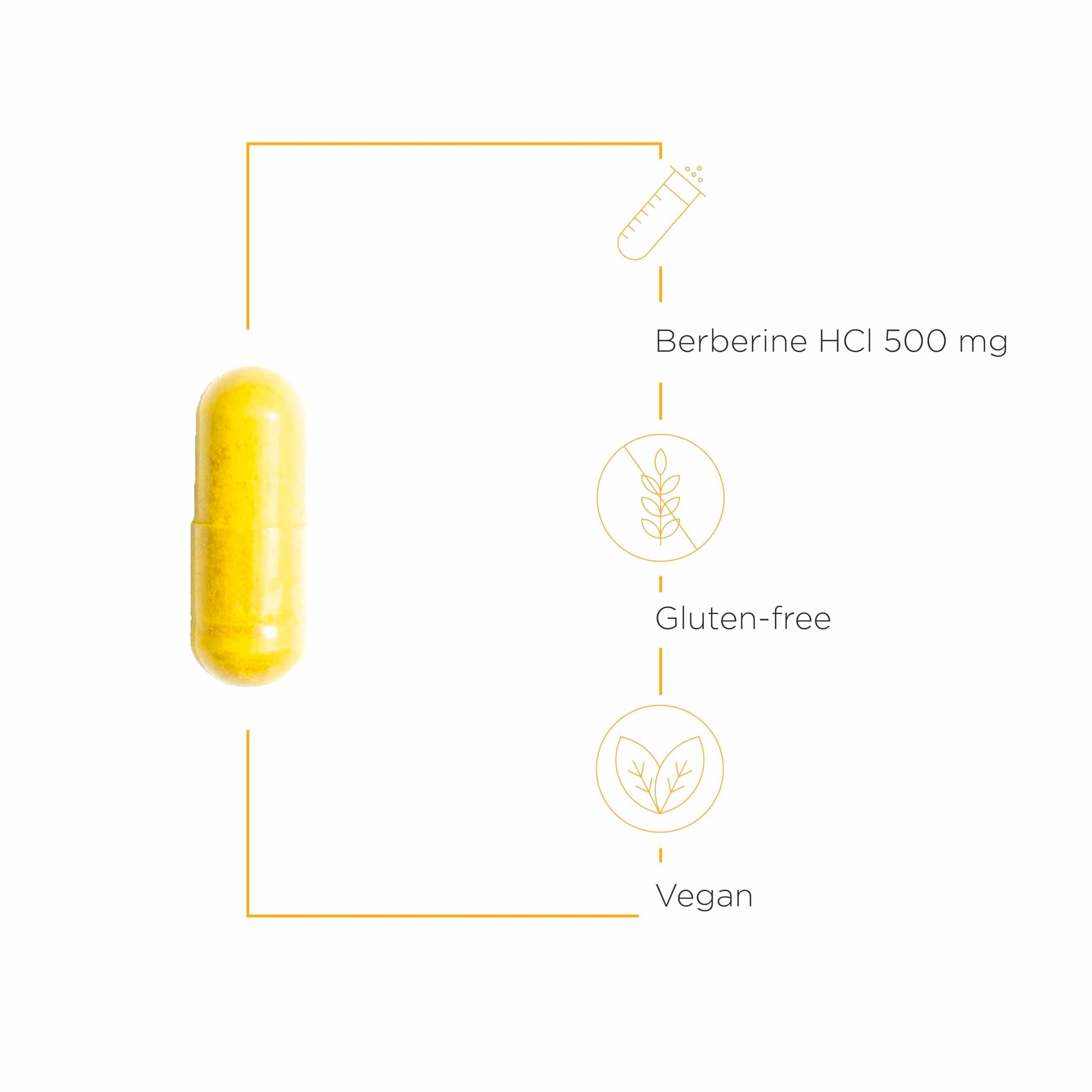 Integrative Therapeutics Berberine - Supplement for Cellular Energy Metabolism & Metabolic Support* - Dairy-Free & Gluten-Free - 60 Capsules (60 Servings) Nirvana Guru