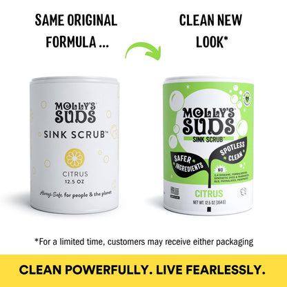 Molly's Suds Sink and All Purpose SCRUB | Gently Removes Stains, Scrubs Away Grease & Gime, Buffs out Scratches | Plant and Mineral Based | 2 Pack, Beach Scent Nirvana Guru