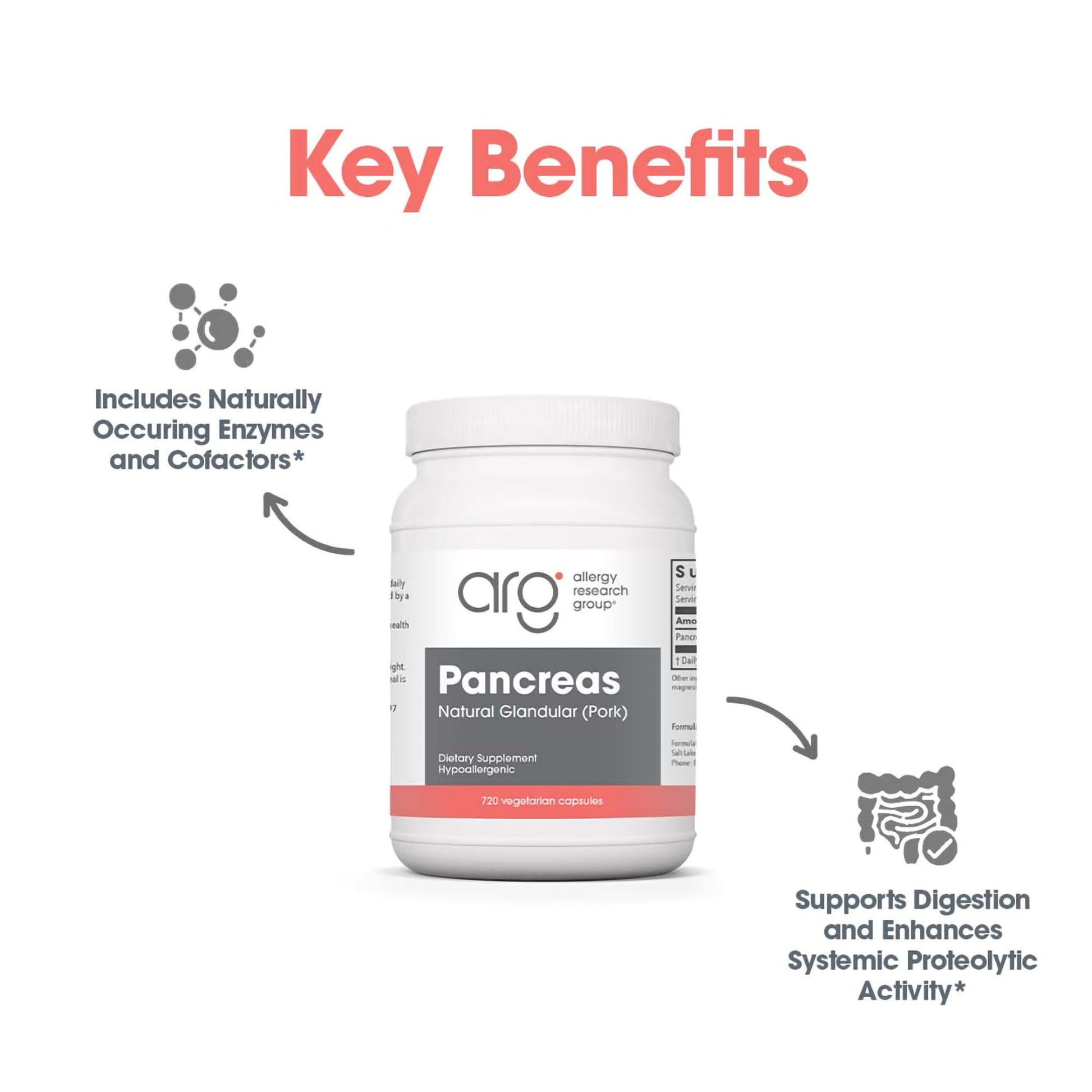 Allergy Research Group Pancreas Supplement - Pancreatic Enzymes for Women and Men, Digestive Pork Pancreas Powder Capsules, Healthy Digestion Support - 720 Capsules Nirvana Guru