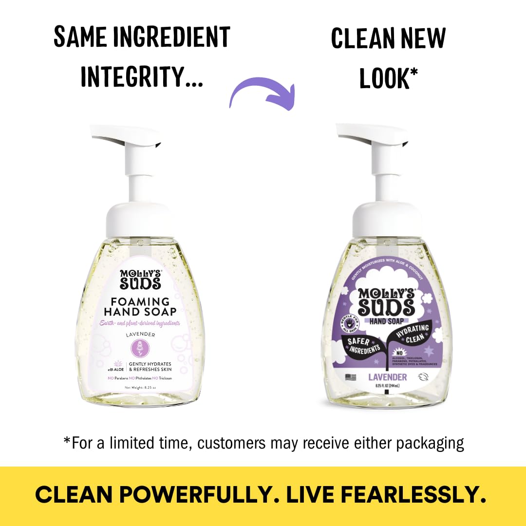 Molly's Suds Foaming Hand Soap - Made with Aloe and Coconut Oil | Moisturizing Hand Wash | Clean Ingredients, Infused with Essential Oils | Citrus Grove - 8.25 Oz (Pack of 3) Nirvana Guru