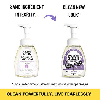Molly's Suds Foaming Hand Soap - Made with Aloe and Coconut Oil | Moisturizing Hand Wash | Clean Ingredients, Infused with Essential Oils | Citrus Grove - 8.25 Oz (Pack of 3) Nirvana Guru