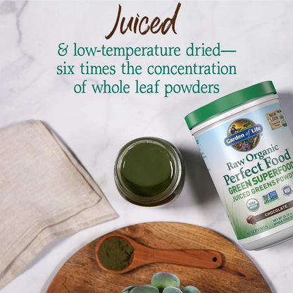 Garden of Life Raw Organic Perfect Food Green Superfood Juiced Greens Powder - Chocolate, 30 Servings (Packaging May Vary) - Nirvana Guru