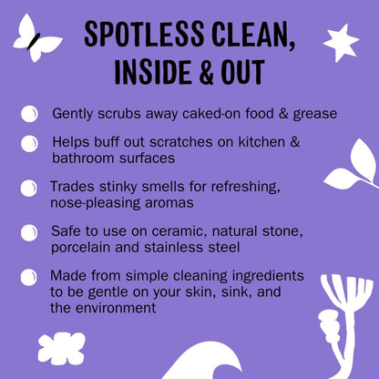 Molly's Suds Sink and All Purpose SCRUB | Gently Removes Stains, Scrubs Away Grease & Gime, Buffs out Scratches | Plant and Mineral Based | 2 Pack, Beach Scent Nirvana Guru