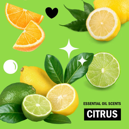 Molly's Suds Liquid Dish Soap | Clean, Simple Ingredients | Extra Scrubbing Power | Citrus Scent, 24 oz - 2 Pack Nirvana Guru
