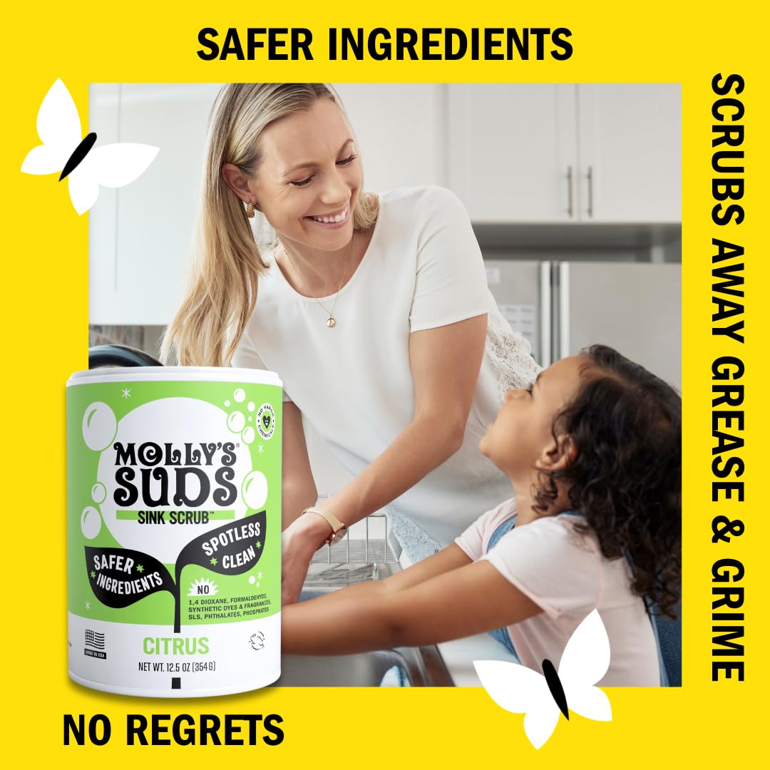Molly's Suds Sink and All Purpose SCRUB | Gently Removes Stains, Scrubs Away Grease & Gime, Buffs out Scratches | Plant and Mineral Based | 2 Pack, Beach Scent Nirvana Guru