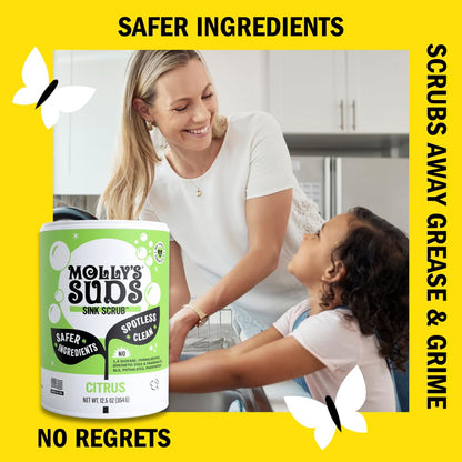Molly's Suds Sink and All Purpose SCRUB | Gently Removes Stains, Scrubs Away Grease & Gime, Buffs out Scratches | Plant and Mineral Based | 2 Pack, Beach Scent Nirvana Guru